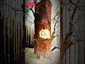The Lost Colony of Roanoke Mystery #shorts #historyfacts #shortvideo #viralshorts #youtubeshorts