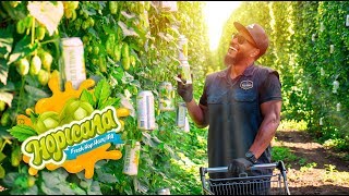 Hopicana Fresh Hop Hazy IPA