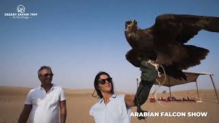 Overnight Heritage Safari at Al Marmoom Oasis | Authentic Arabian Desert Journey