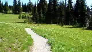 subalpine meadow manning park 2008