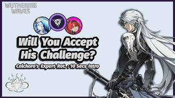 This Is How We Play Calcharo - Calcharo