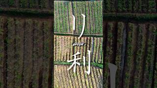 What's the origin of katakana リ ri How the Japanese letter リ ri came from kanji 利!