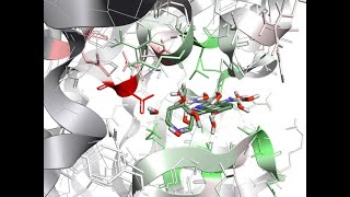 Molecular docking of Multiple Ligands against a biological target using Pyrx software