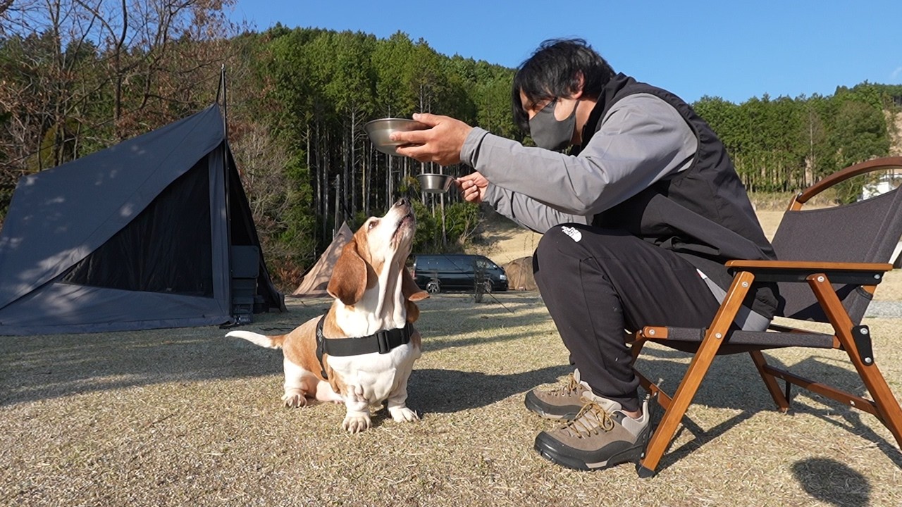 境地に辿り着いた歴5年の犬