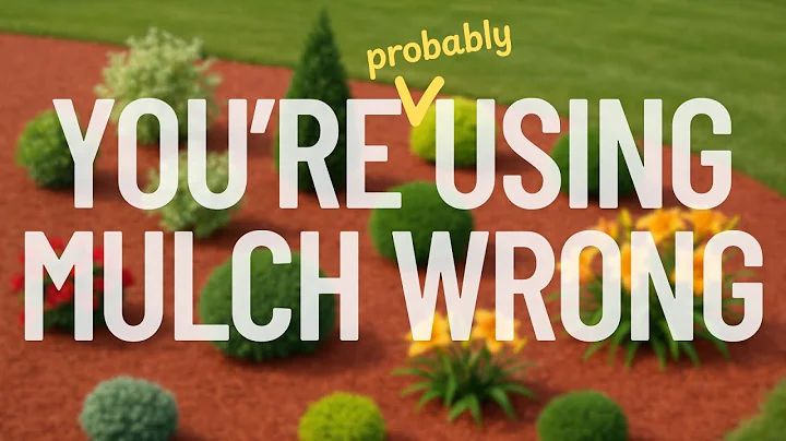 Bad mulch, the BEST mulches & how to use them