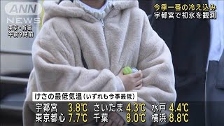 東京でけあらし　宇都宮は初氷　今季一番の冷え込み(2022年11月17日)