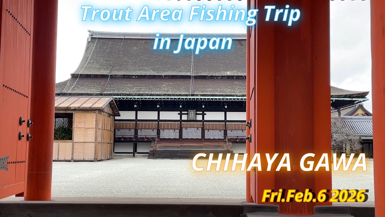 CHIHAYA GAWA Feb.6 2026 / Trout Area Fishing Trip in Japan
