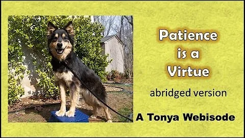 "Patience is a Virtue" - A Talented K9 Tonya Produ...