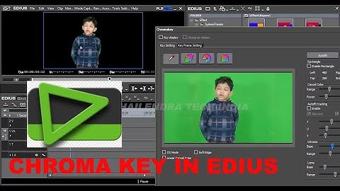 HOW TO USE CHROMA KEY IN EDIUS 6,7,8 TUTORIAL || HINDI