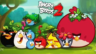 видео: ШЛЯПНОЕ ПРИКЛЮЧЕНИЕ для БОТАНИКОВ! Злые ПТИЦЫ против СВИНЕЙ / Angry Birds 2 #106 картинка: ШЛЯПНОЕ ПРИКЛЮЧЕНИЕ для БОТАНИКОВ! Злые ПТИЦЫ против СВИНЕЙ / Angry Birds 2 #106