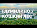 Глумилино, Кошкин Лес,  Российская, бульвар Тюлькина, аэросъёмка с квадрокоптера в Уфе