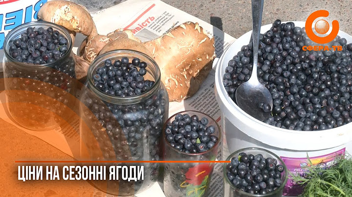 300 гривень за літр чорниці: скільки коштують сезонні ягоди на ринку Рівного