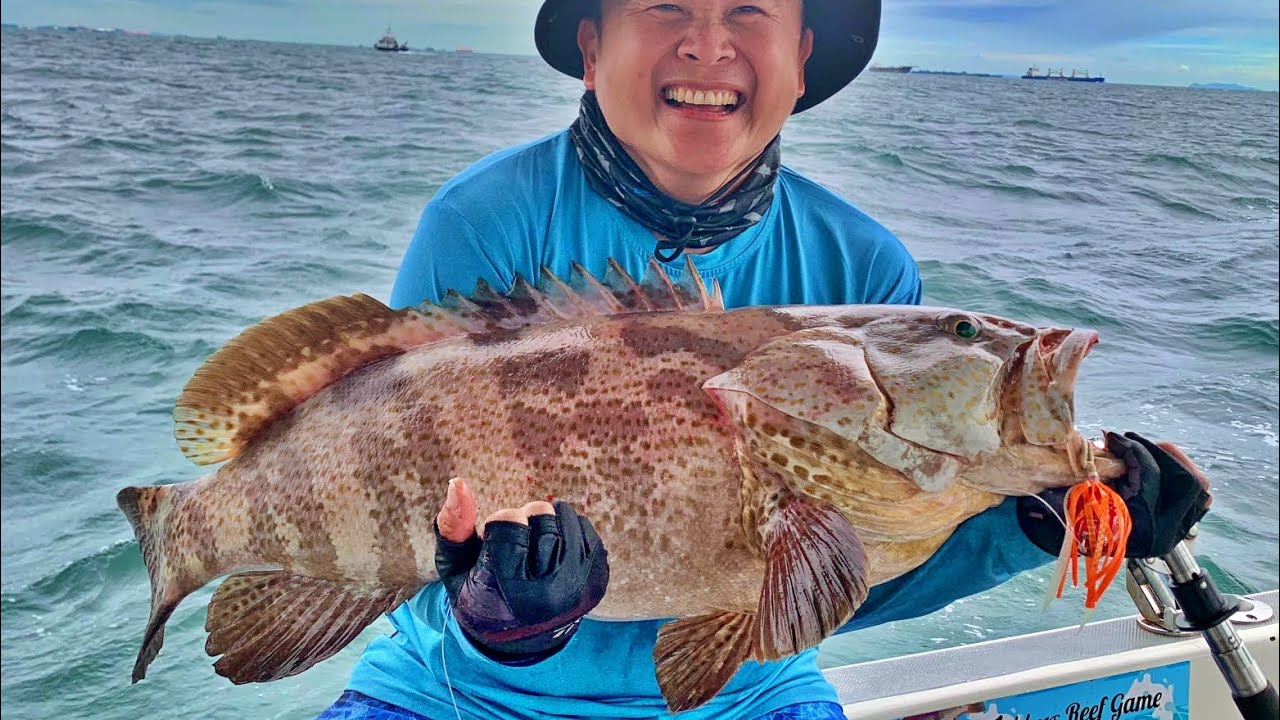 Fishing For Giant Grouper In Singapore