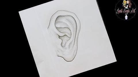 How to draw an ear || step by step ear drawing || Realistic ear drawing || Human bady part drawing