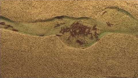 River Geomorphology (34) - Logjam Formation at the Transition From Straight to Meandering Channel...