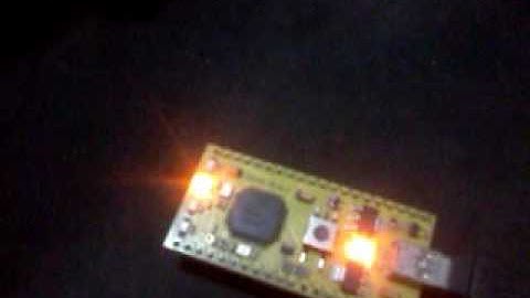 lpc11u24 4-bit counter