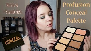 Correct & Conceal - Profusion Cosmetics