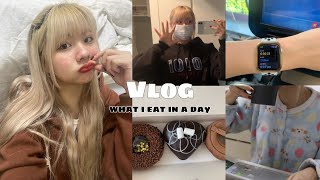 VLOG🤎| ..벌써 개강이라고..? 일본 유학생의 마지막 방학 하루 남긴 날 24시간 브이로그