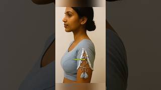 🎇 Diwali Special Blause Design's 2025 #youtubeshorts #newdesign #blousedesign #viralshort #shorts