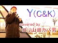 ゴリ山田カバ男「Y(C&amp;K)cover」
