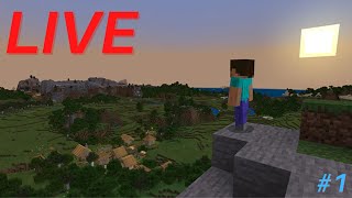 Minecraft Java Server #1