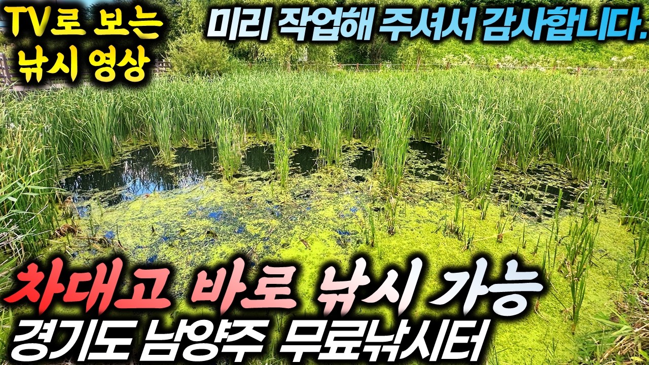 누군가 미리 작업해둔 대물 명당! 차대고 바로 허릿급 붕어 잡는 경기도 남양주 무료낚시터