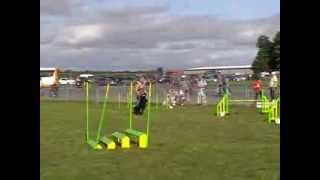 Dotsie 4 7 HS Pembroke 130813