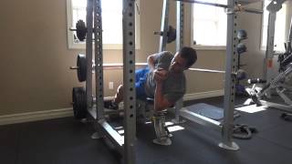 Feet supported side plank, plate press progression
