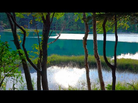 Hokkaido, Onneto Lake 神秘の湖 オンネトー