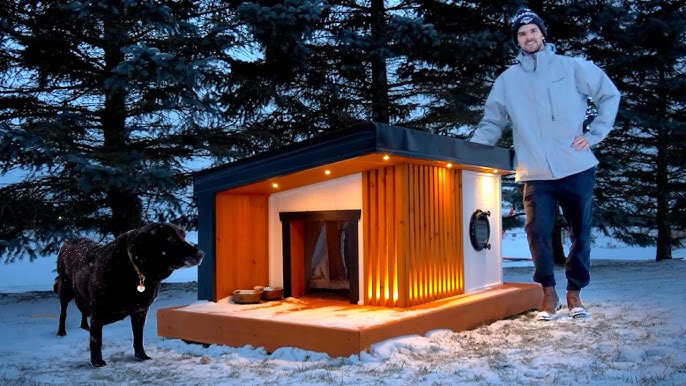 Insulating The Dog House And Installing Paneling And Roofing 