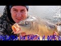 Рыбалка по холодной воде  на карпа и форель на фидер / Ранняя весна 2020