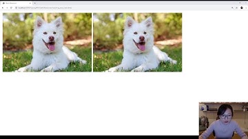 33. Static Resource Coding Step by Step