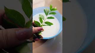 Masala chach recipe | healthy summer drink#summer #drink#healthydrink #quickrecipe #homemade
