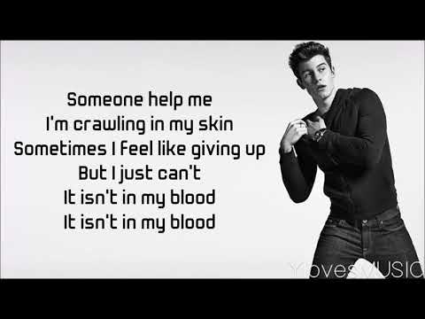 Shawn Mendes – In My Blood (Lyrics)