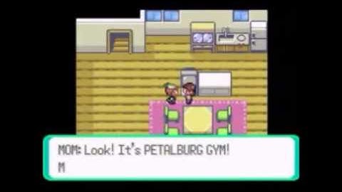 Pokémon Emerald Speed Run Segment 1