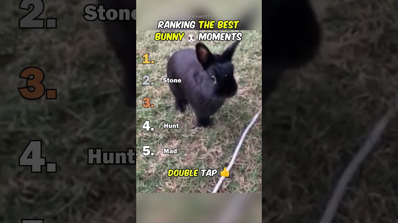 Ranking Best Bunny Moments