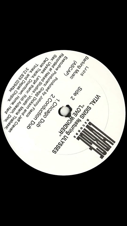 1995, Large Records. #housemusic #vinyl