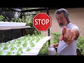 Stop Growing Microgreens, DIY Hydroponics