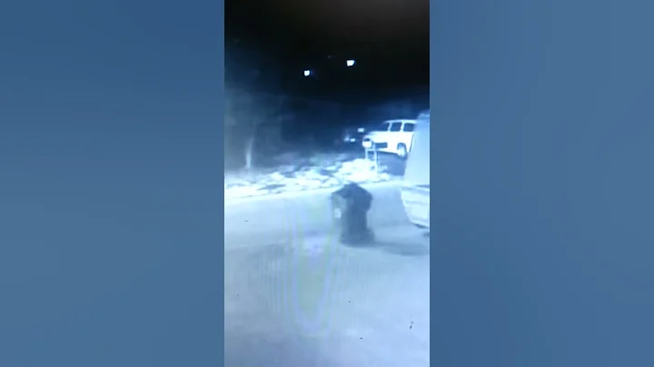 Dude killed everyone mail box