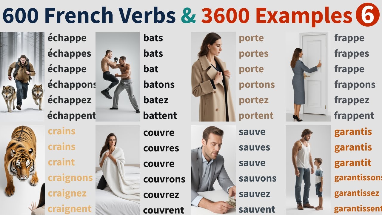 600-french-verbs-conjugations-daily-sentence-examples-pictures