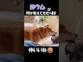 ヨウムが何か覚えてきた#80