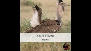 Love Is Unfair By CDM KIRATU