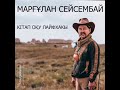 Маргулан Сейсембай, книжный лайфxак