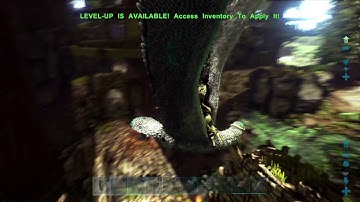 ARK: Survival Evolved - Redwoods tree base + ruins build PS4 Pro