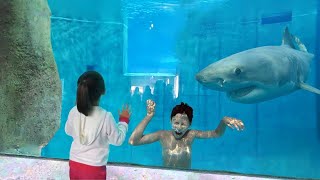 her brother got stuck in shark tank... (BIG MISTAKE)