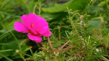 Suy Niệm Lời Chúa, Ngày 25/11/2025, Thứ Ba Tuần XXXIV Thường Niên