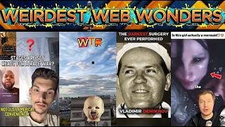 weirdest web wondes vol 252
