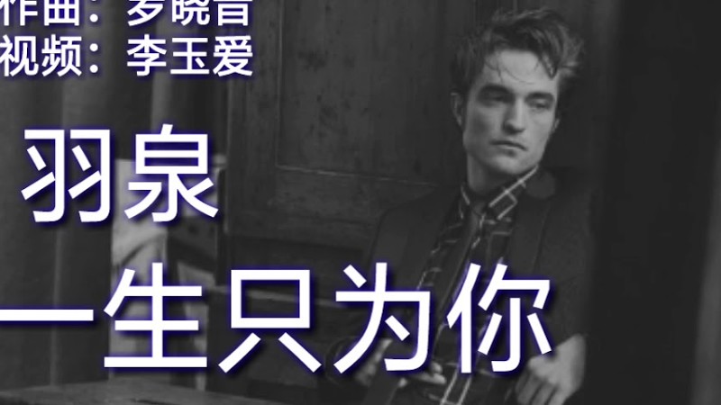 《这一生只为你》
演唱：羽泉