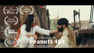 Pakistani Award Winning Short Film | PEANUTS [404] | Directed by Ahmad Arif
