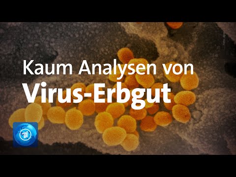 Video: Wer hat das Covid-Genom zuerst sequenziert?